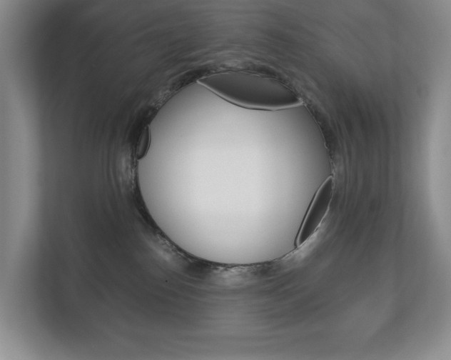 X0000113170186200909040941