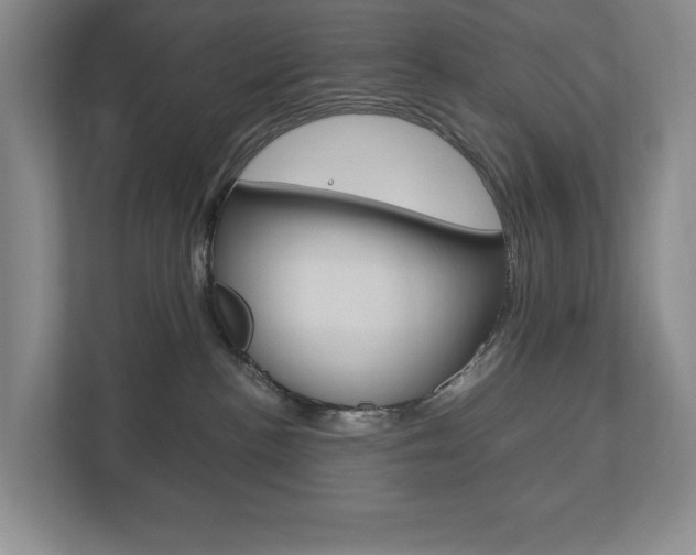 X0000113170188200909040941