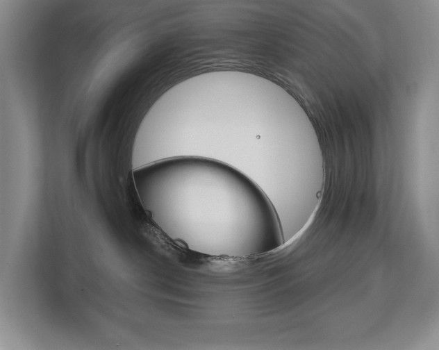X0000113170190200909040941