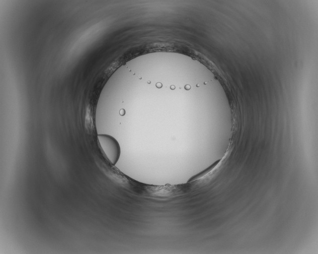 X0000113170191200909040941