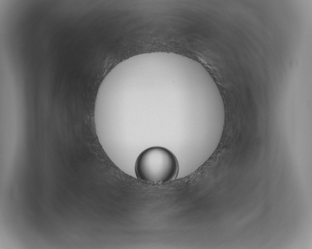 X0000113170192200909040941