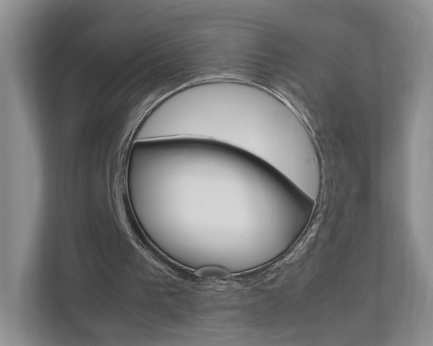 X0000113170193200909040941