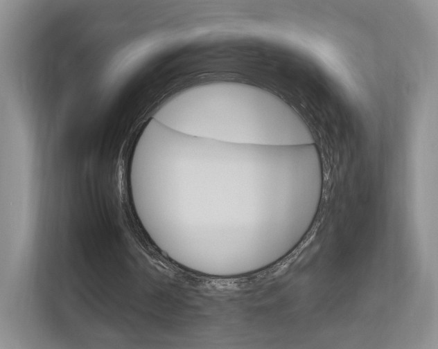 X0000113170194200909040941