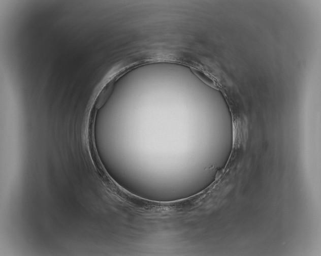 X0000113170195200909040941