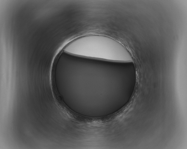 X0000113170196200909040941