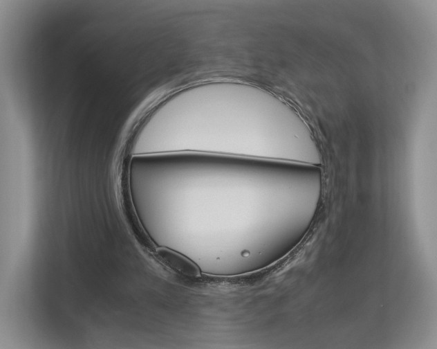 X0000113170197200909040941