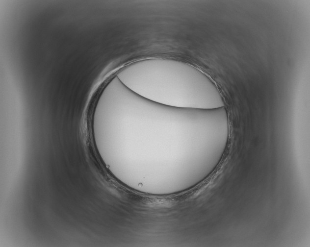 X0000113170198200909040941
