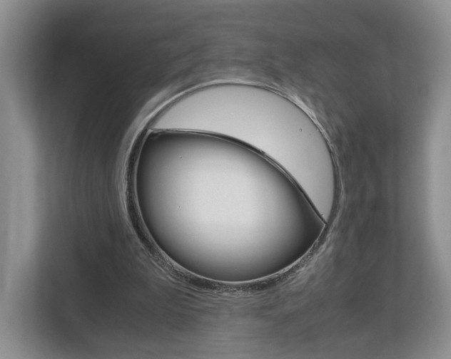X0000113170199200909040941