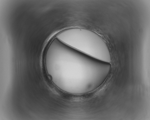 X0000113170200200909040941
