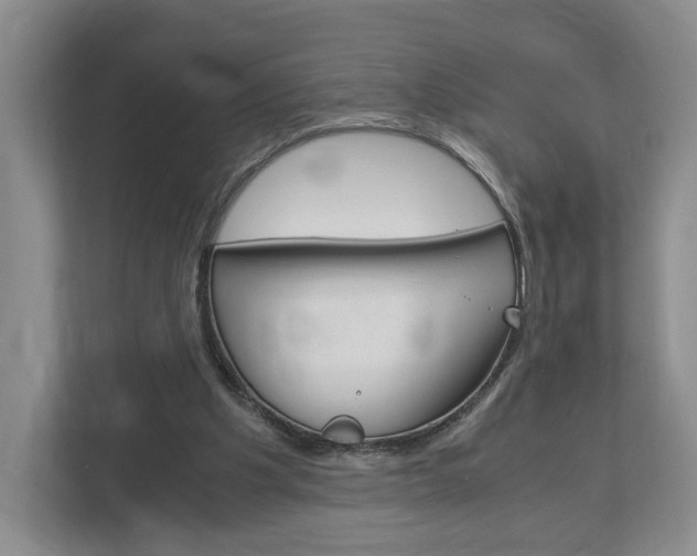 X0000113170201200909040940