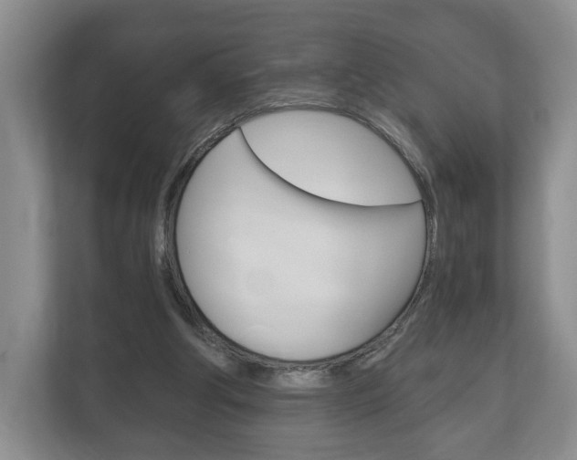 X0000113170202200909040940