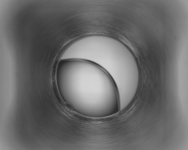X0000113170203200909040940