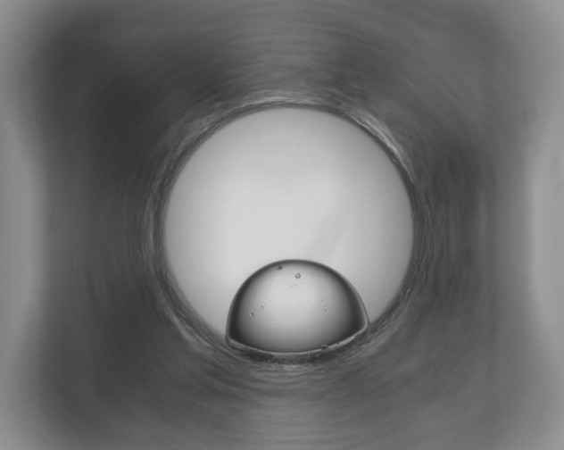 X0000113170205200909040940