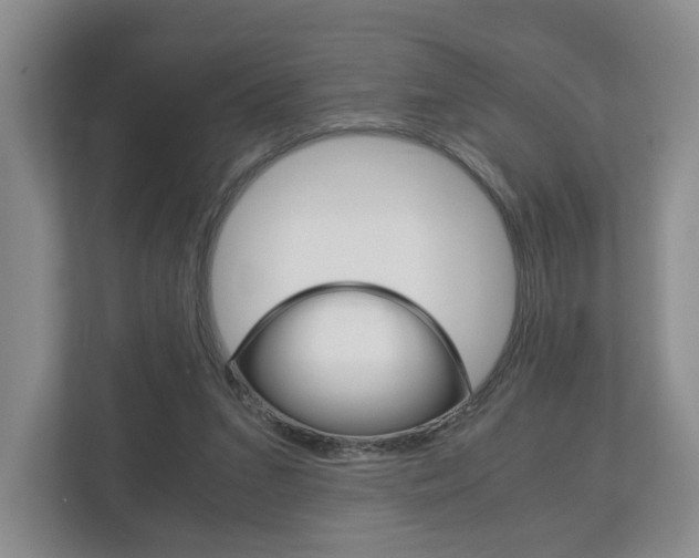 X0000113170207200909040940