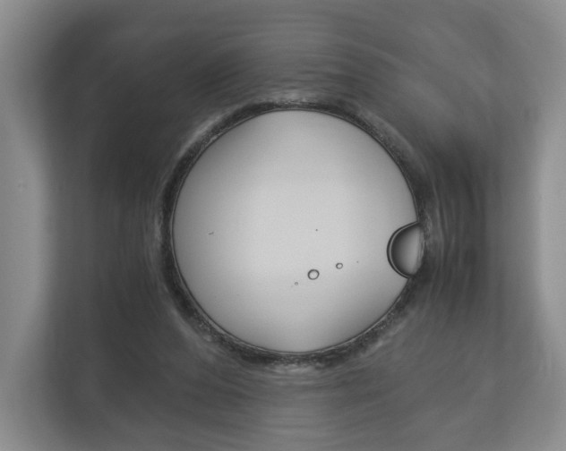 X0000113170208200909040940