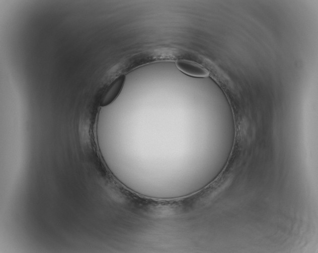 X0000113170209200909040940