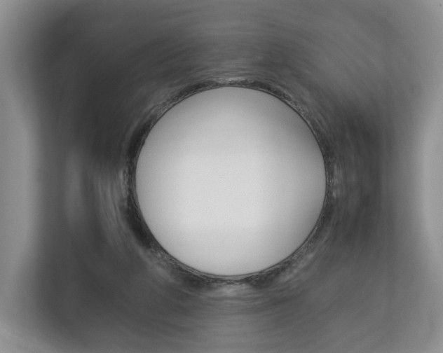 X0000113170210200909040940