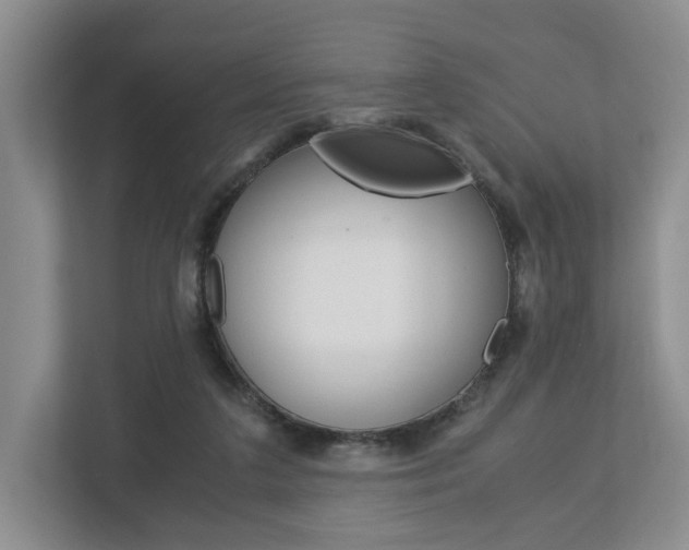 X0000113170211200909040940