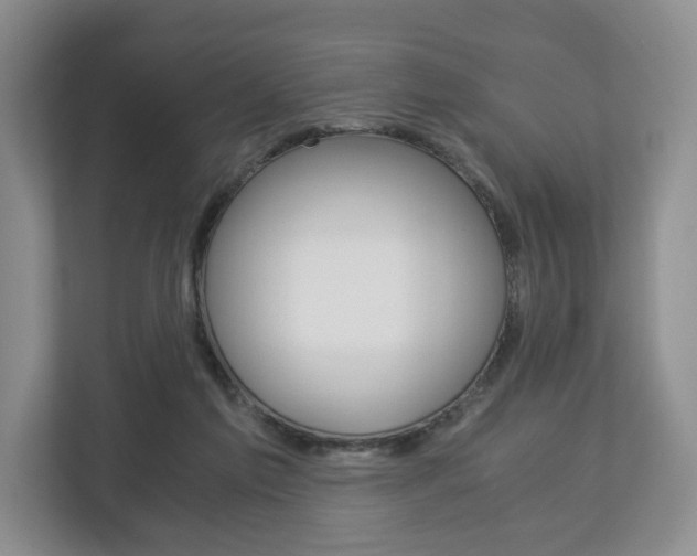 X0000113170213200909040940