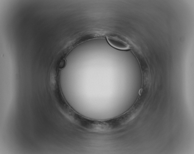 X0000113170215200909040940