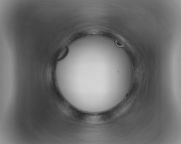X0000113170217200909040940