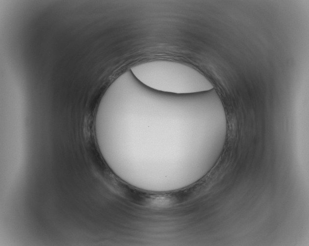 X0000113170218200909040940