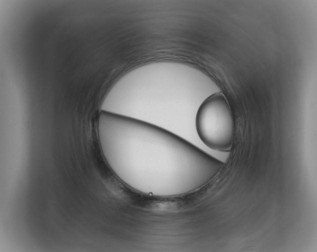X0000113170220200909040940