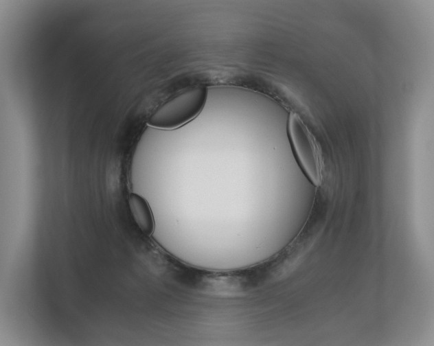 X0000113170221200909040940