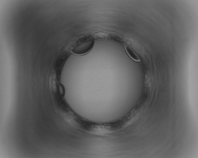 X0000113170223200909040940