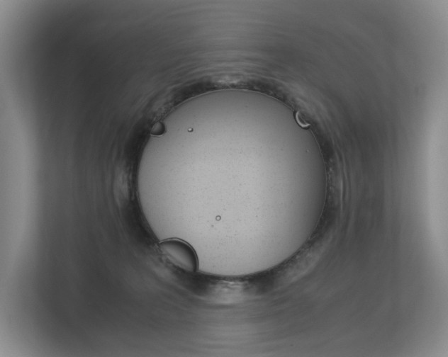 X0000113170227200909040940