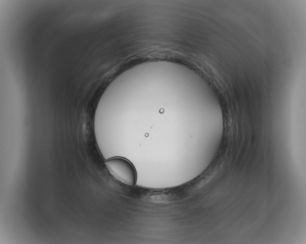 X0000113170228200909040940