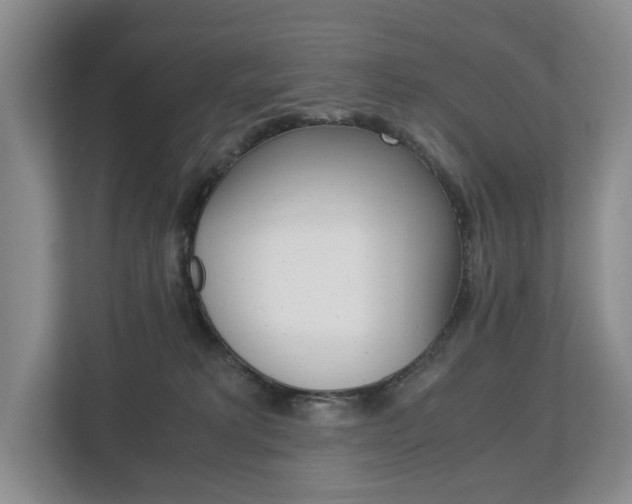 X0000113170229200909040940