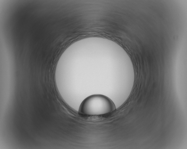 X0000113170231200909040940