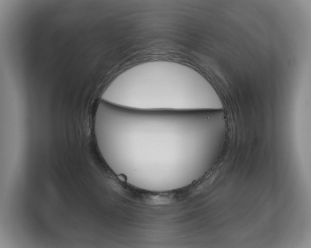 X0000113170232200909040940