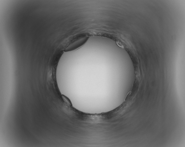 X0000113170233200909040940