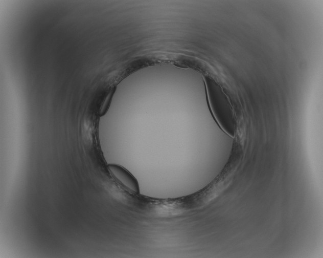 X0000113170235200909040940