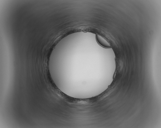 X0000113170236200909040940