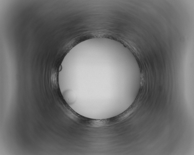 X0000113170238200909040940