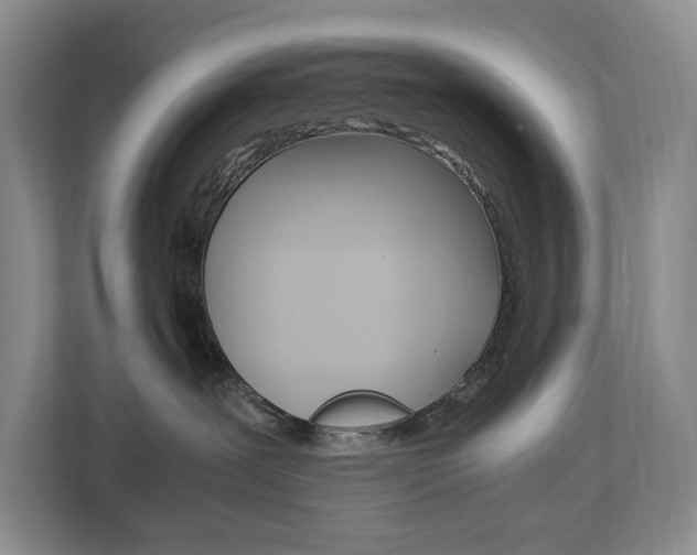 X0000113170239200909040940