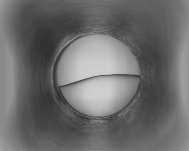 X0000113170242200909040939