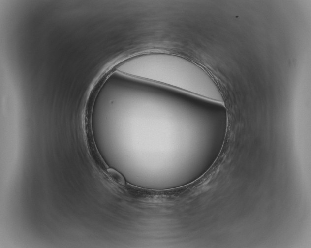 X0000113170244200909040939