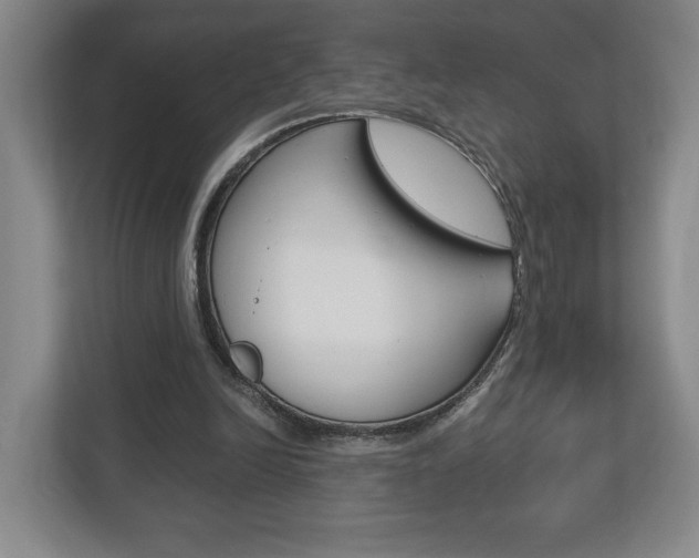 X0000113170246200909040939