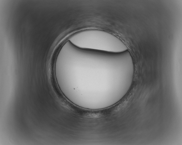 X0000113170247200909040939