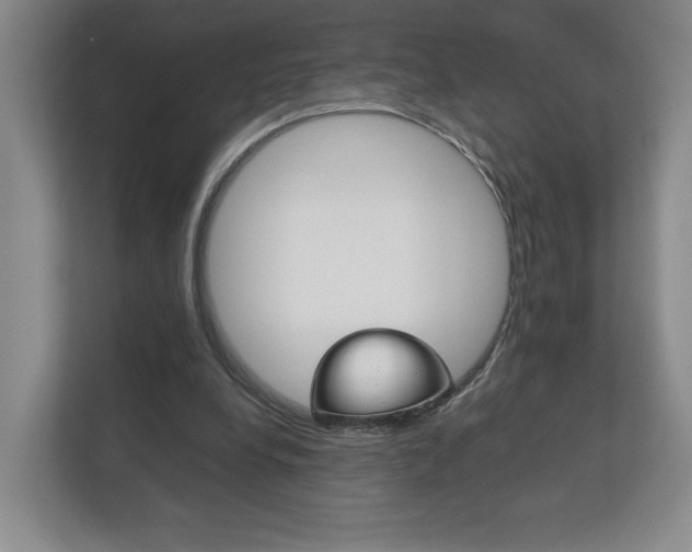 X0000113170248200909040939