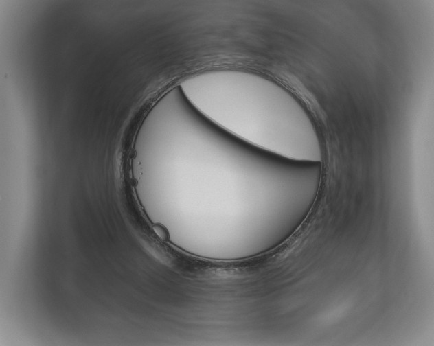 X0000113170250200909040939