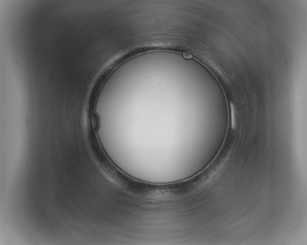 X0000113170252200909040940