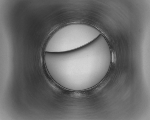 X0000113170253200909040940