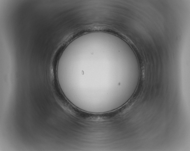 X0000113170254200909040940