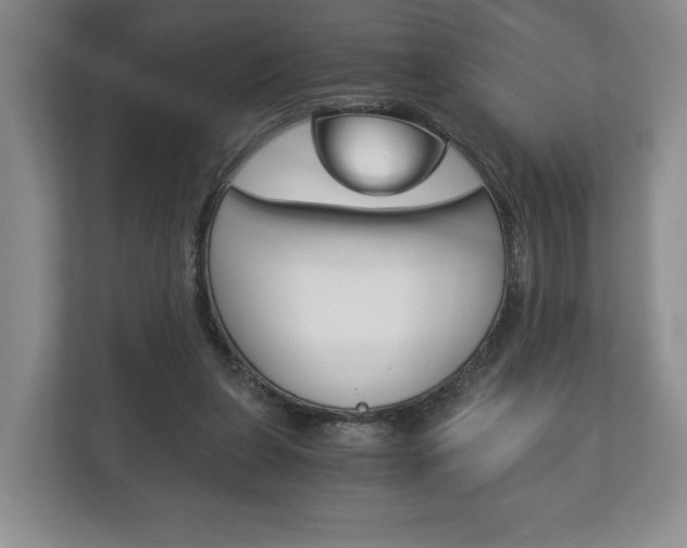 X0000113170255200909040940