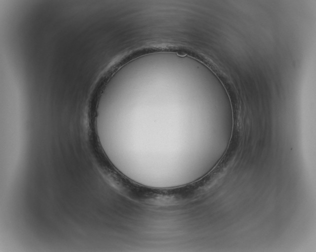 X0000113170256200909040940